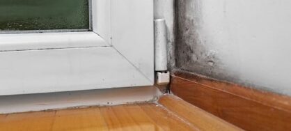 air quality indoor, indoor air quality, airborne viruses, allergy relief, allergy solutions, mold