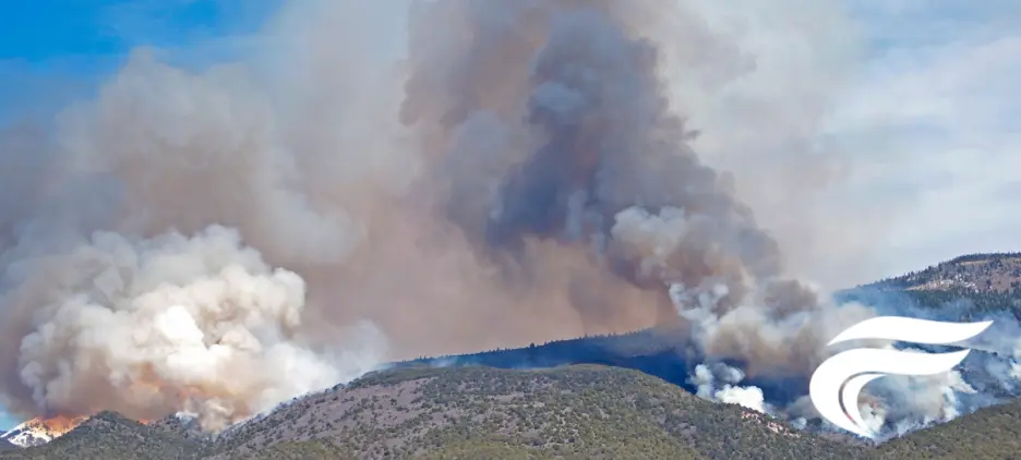 Wildfire Smoke Air Purifier