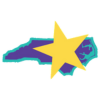 Carolina Star Logo