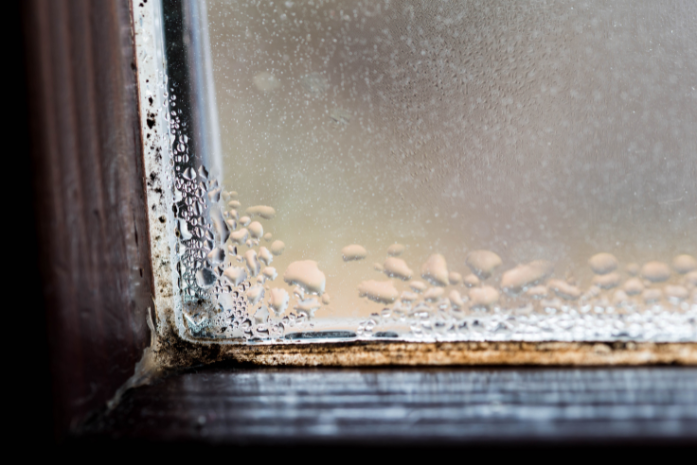 Humidity on Window